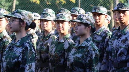 先锋迷彩爆料视频,揭秘神秘军事装备与战术训练  第3张